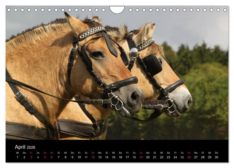 Produktbild: Starke Pferde bei der Arbeit (Wandkalender 2026 DIN A4 quer), CALVENDO Monatskalender