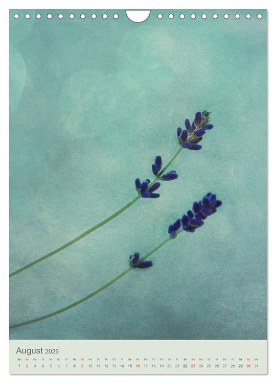 Produktbild: Flora (Wandkalender 2026 DIN A4 hoch), CALVENDO Monatskalender