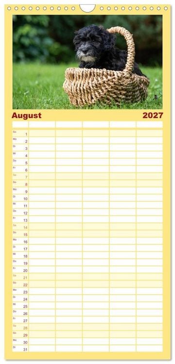 Produktbild: Familienplaner 2027 - Maltipoo Welpen mit 5 Spalten (Wandkalender, 21 x 45 cm) CALVENDO