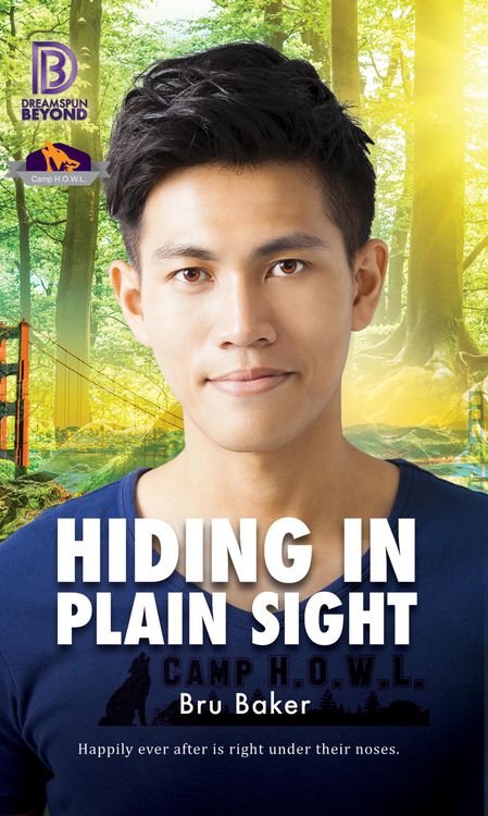 Produktbild: Hiding In Plain Sight