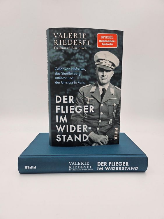 Produktbild: Der Flieger im Widerstand