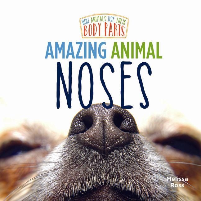 Produktbild: Amazing Animal Noses