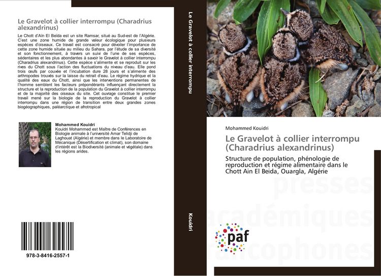 Produktbild: Le Gravelot &agrave; collier interrompu (Charadrius alexandrinus)