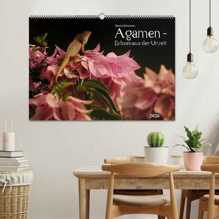 Produktbild: Agamen - Echsen aus der Urzeit (Wandkalender 2026 DIN A2 quer), CALVENDO Monatskalender