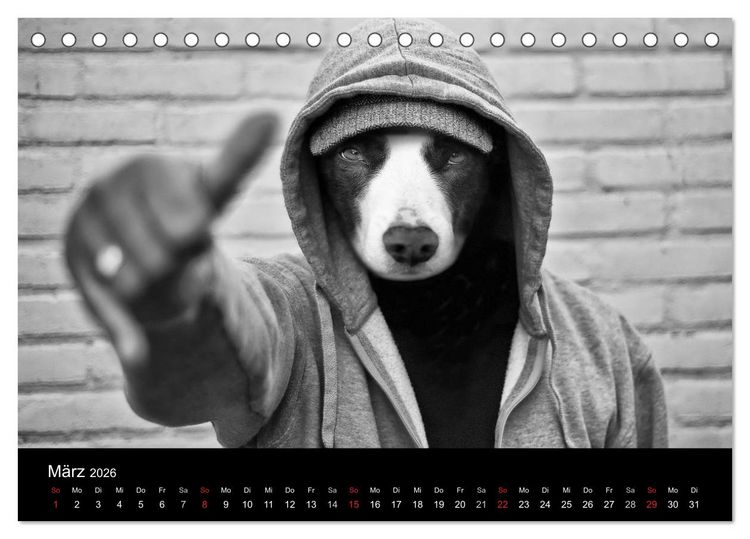 Produktbild: H&uuml;tehunde (Tischkalender 2026 DIN A5 quer), CALVENDO Monatskalender