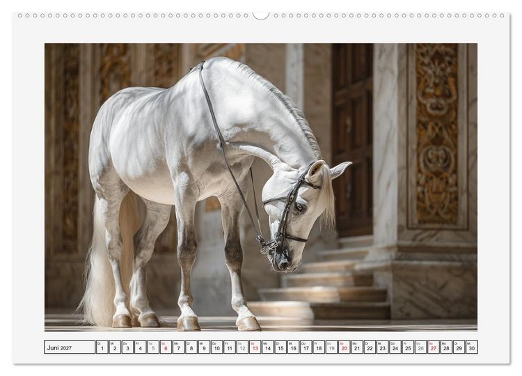 Produktbild: Spanische Eleganz. Edle Schimmel auf dem Gest&uuml;t (hochwertiger Premium Wandkalender 2027 DIN A2 quer), Kunstdruck in Hochglanz