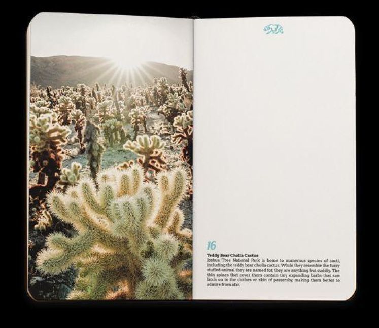 Produktbild: Notizbuch California - Kalifornien