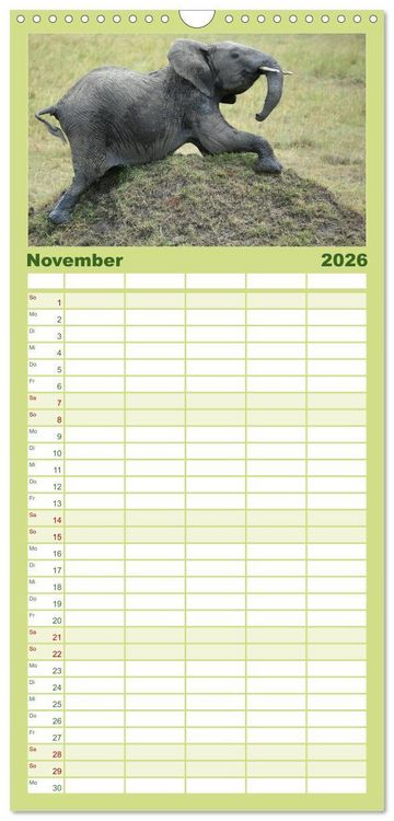 Produktbild: Familienplaner 2026 - Afrika - im Reich der Elefanten mit 5 Spalten (Wandkalender, 21 x 45 cm) CALVENDO