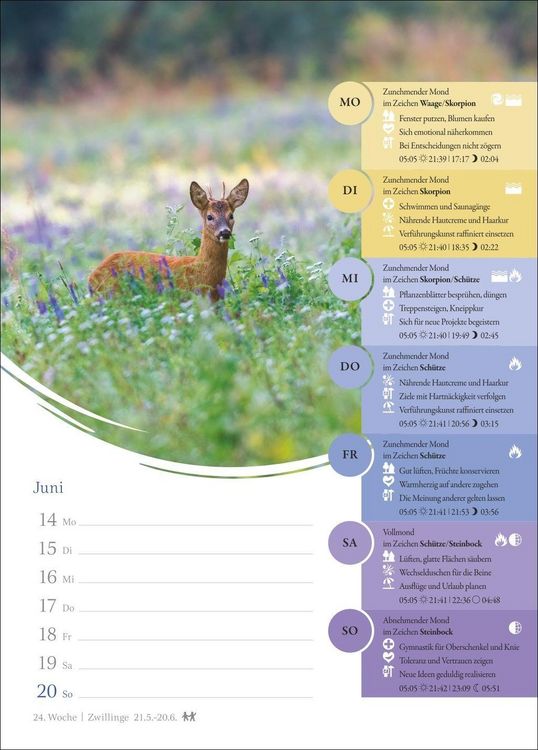 Produktbild: Mondkalender Wochenkalender 2027 - 53 Wochenbl&auml;tter mit praktischen Tipps f&uuml;r jeden Tag