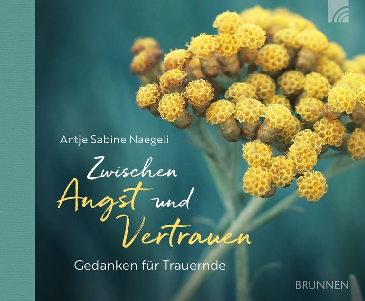 Produktbild: Zwischen Angst und Vertrauen