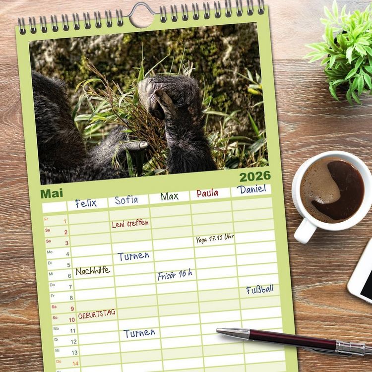 Produktbild: Familienplaner 2026 - Gorillas - Die sanften Wilden mit 5 Spalten (Wandkalender, 21 x 45 cm) CALVENDO