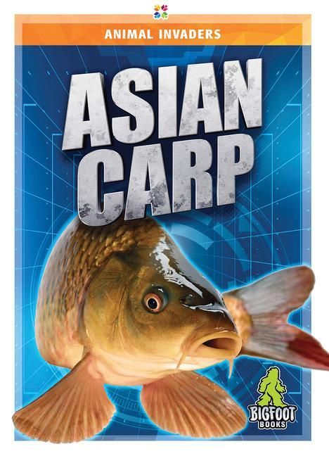 Produktbild: Asian Carp