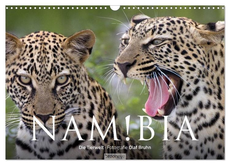 Produktbild: Namibia - Die Tierwelt (Wandkalender 2026 DIN A3 quer), CALVENDO Monatskalender