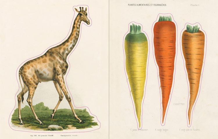 Produktbild: John Derian Sticker Book