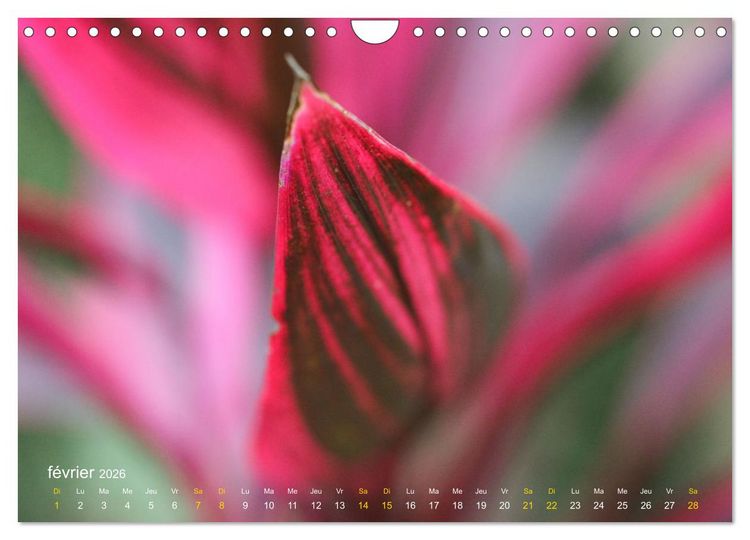 Produktbild: Au c&oelig;ur d&rsquo;une nature color&eacute;e (Calendrier mural 2026 DIN A4 vertical), CALVENDO calendrier mensuel
