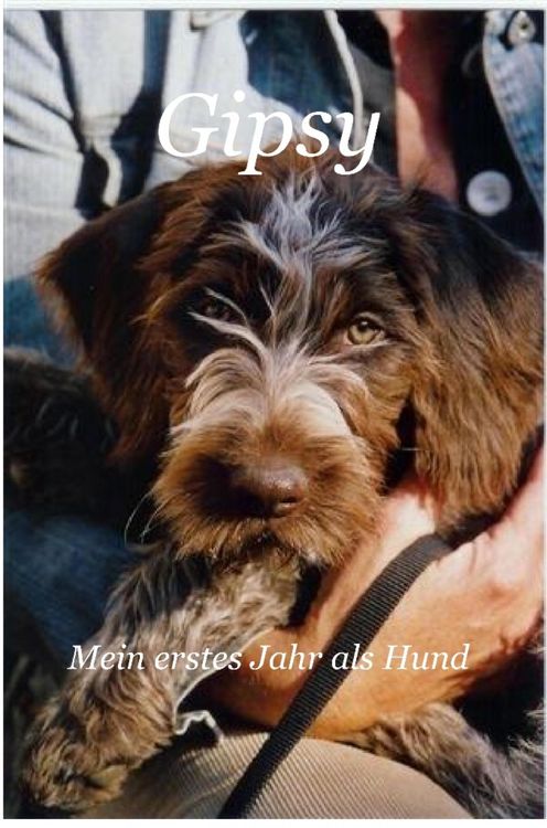 Produktbild: Gipsy - Mein erstes Jahr als Hund