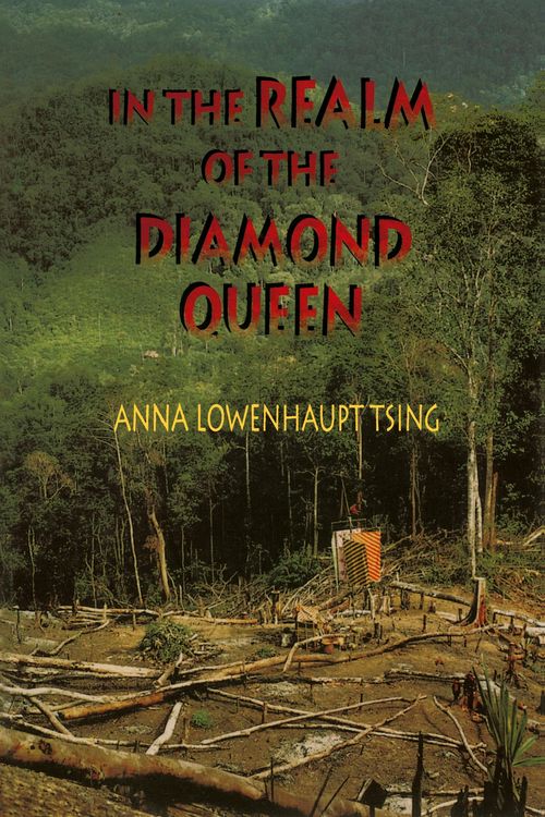 Produktbild: In the Realm of the Diamond Queen