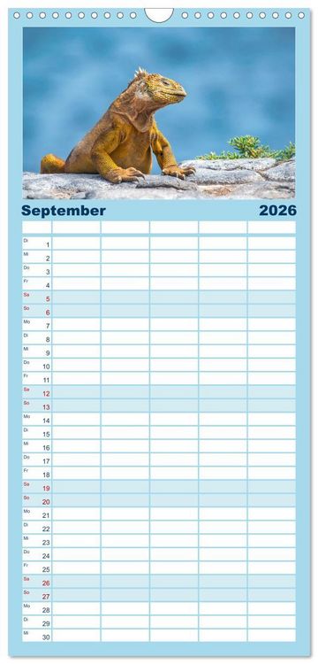 Produktbild: Familienplaner 2026 - Drachen: Geheimnisvolles Tierreich mit 5 Spalten (Wandkalender, 21 x 45 cm) CALVENDO