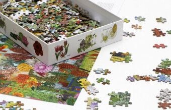 Produktbild: In 50 Pflanzen um die Welt