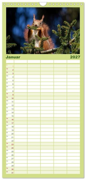 Produktbild: Familienplaner 2027 - Mit dem Eichh&ouml;rnchen durchs Jahr mit 5 Spalten (Wandkalender, 21 x 45 cm) CALVENDO