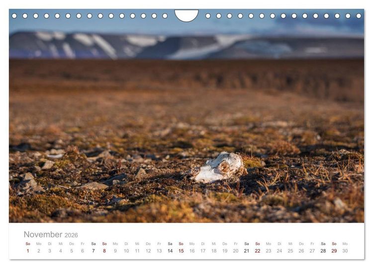 Produktbild: Spitzbergen - Wild.Rau.Ungez&auml;hmt. (Wandkalender 2026 DIN A4 quer), CALVENDO Monatskalender