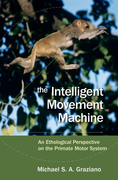 Produktbild: The Intelligent Movement Machine