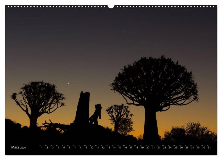 Produktbild: Wildes Namibia (Wandkalender 2026 DIN A2 quer), CALVENDO Monatskalender