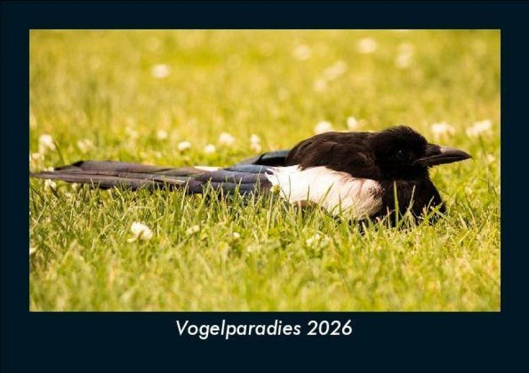 Produktbild: Vogelparadies 2026 Fotokalender DIN A5