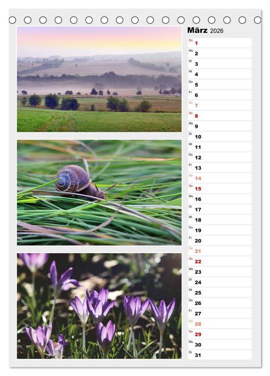 Produktbild: Zauberhafte Farben der Natur (Tischkalender 2026 DIN A5 hoch), CALVENDO Monatskalender