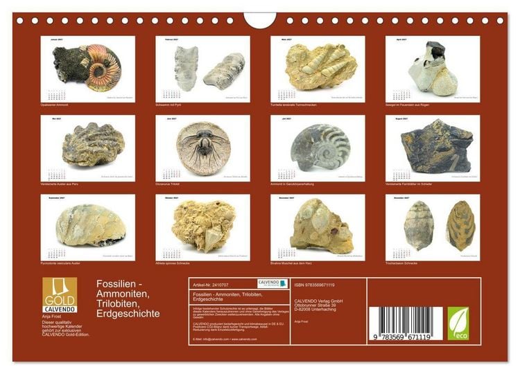 Produktbild: Fossilien - Ammoniten, Trilobiten, Erdgeschichte (Wandkalender 2027 DIN A4 quer), CALVENDO Monatskalender