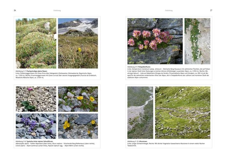 Produktbild: Alpenflora