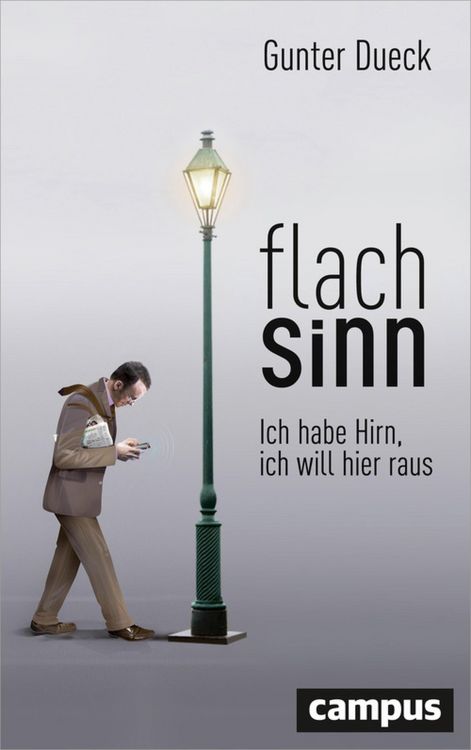 Produktbild: Flachsinn