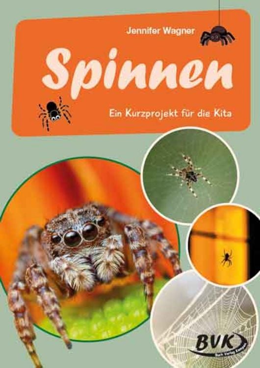 Produktbild: Spinnen