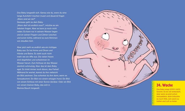 Produktbild: Wer wohnt denn da in Mamas Bauch?