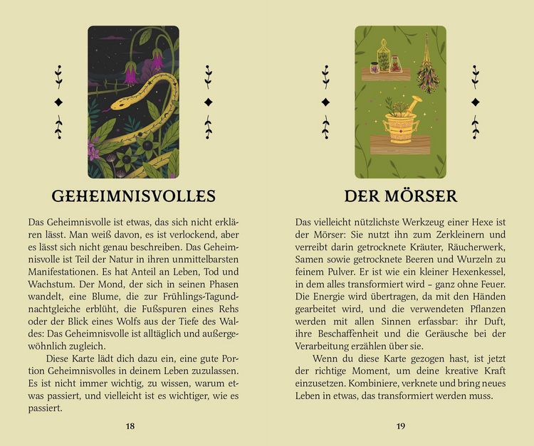 Produktbild: Die gr&uuml;ne Hexe und ihr geheimes Orakel