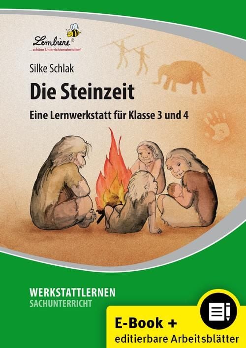 Produktbild: Die Steinzeit