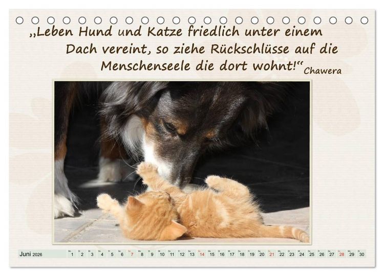Produktbild: Mit Hundezitaten gut durchs Jahr (Tischkalender 2026 DIN A5 quer), CALVENDO Monatskalender
