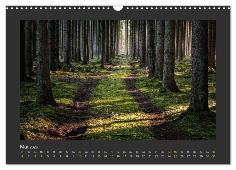 Produktbild: Poesie der Natur (Wandkalender 2026 DIN A3 quer), CALVENDO Monatskalender