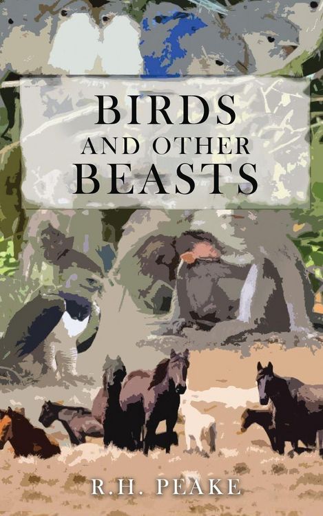 Produktbild: Birds and Other Beasts