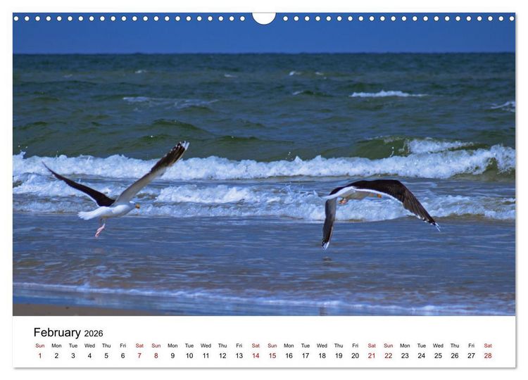 Produktbild: The Sea - A place for dreams (Wall Calendar 2026 DIN A3 landscape), CALVENDO 12 Month Wall Calendar