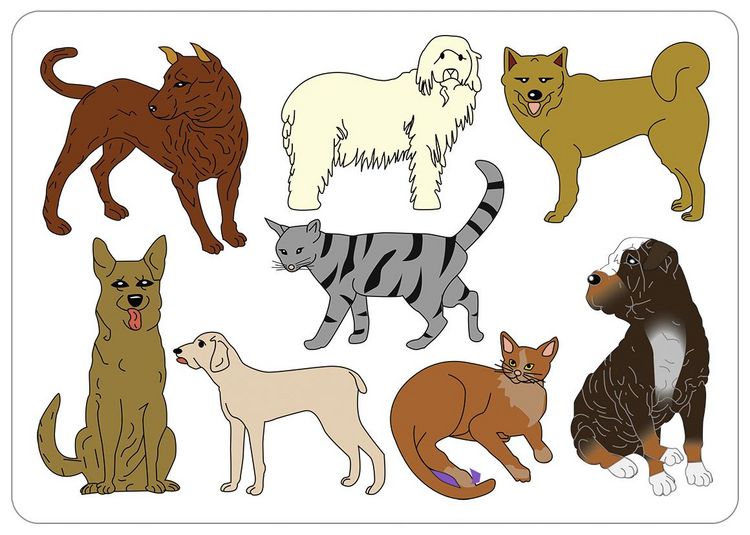 Produktbild: Mal-Schablonen-Set 1 ("Tiere")