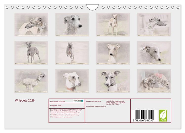 Produktbild: Whippets 2026 (Wall Calendar 2026 DIN A4 landscape), CALVENDO 12 Month Wall Calendar
