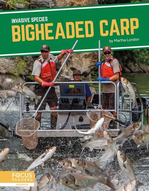 Produktbild: Bigheaded Carp