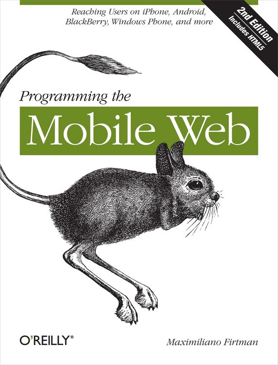 Produktbild: Programming the Mobile Web
