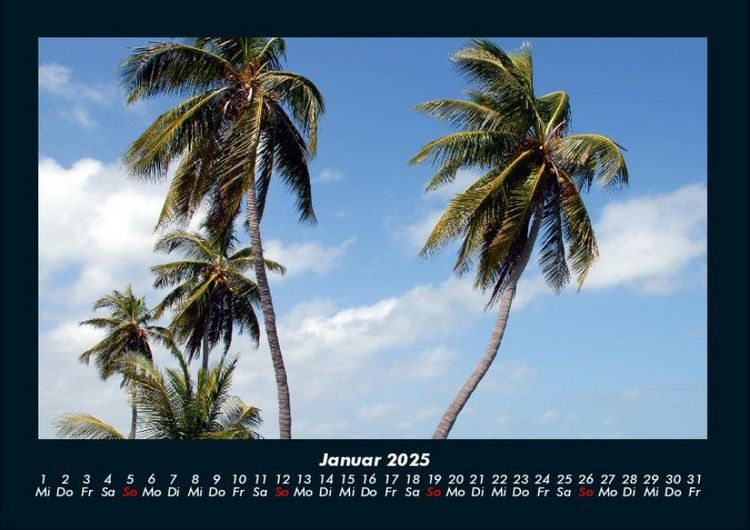 Produktbild: Meereslandschaften 2025 Fotokalender DIN A4