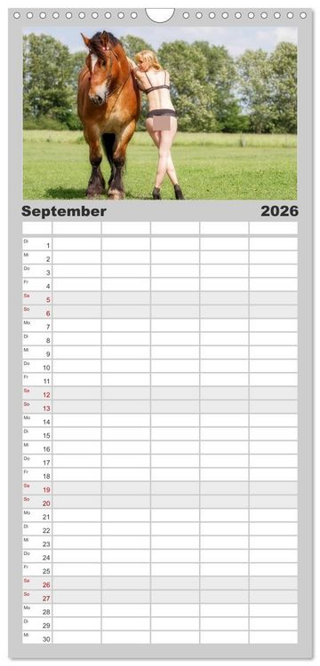 Produktbild: Familienplaner 2026 - Titanen Girls 2026 - erotische Frauen und starke Pferde mit 5 Spalten (Wandkalender, 21 x 45 cm) CALVENDO