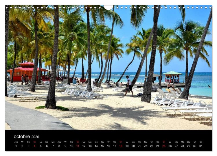Produktbild: Paysages de Guadeloupe (Calendrier mural 2026 DIN A3 vertical), CALVENDO calendrier mensuel