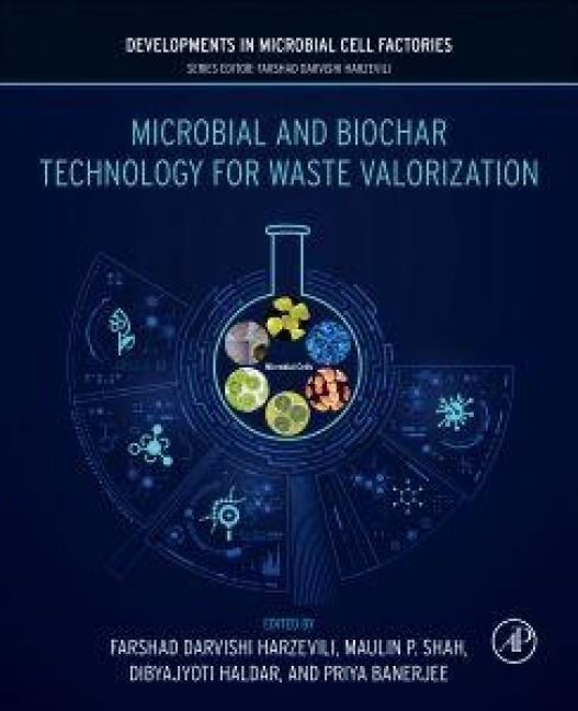 Produktbild: Microbial and Biochar Technology for Waste Valorization