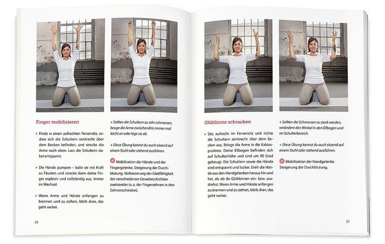 Produktbild: Das HandHeilbuch