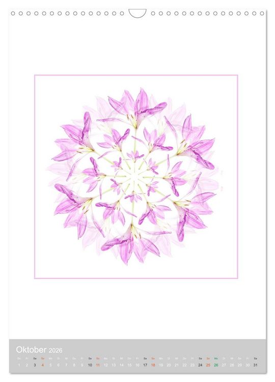 Produktbild: Pflanzen - Mandalas aus Bl&uuml;ten und Bl&auml;ttern (Wandkalender 2026 DIN A3 hoch), CALVENDO Monatskalender